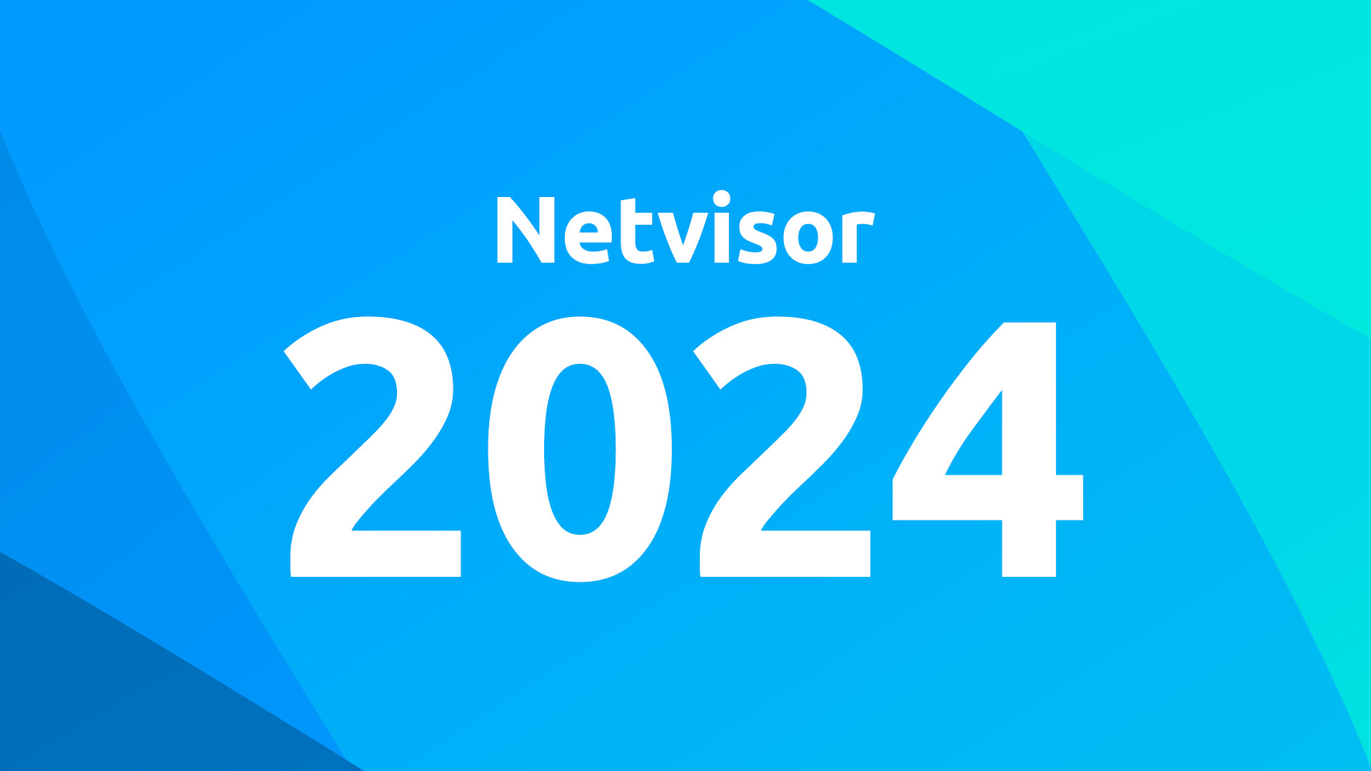 Netvisor 2024