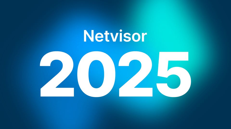 Netvisorin vuosi 2025