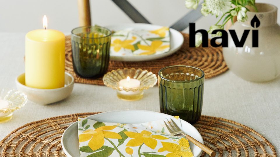 Havi Oy käyttää Netvisroia taloushallinnossaan.