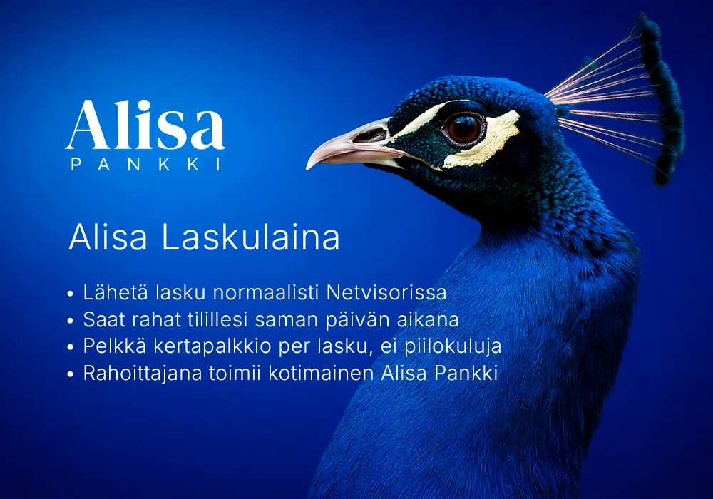 Marketplace-kuva_Laskulaina (1)