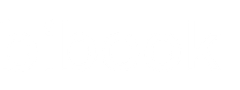 Bibook logo